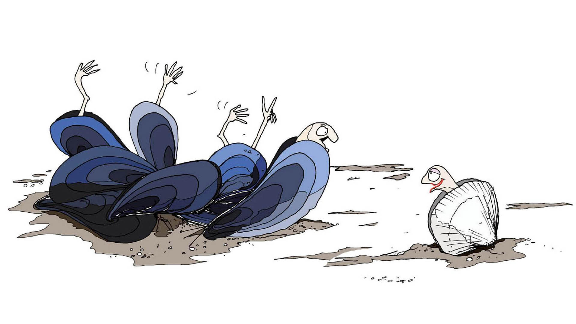 Tegning fra fortællebog om muslinger