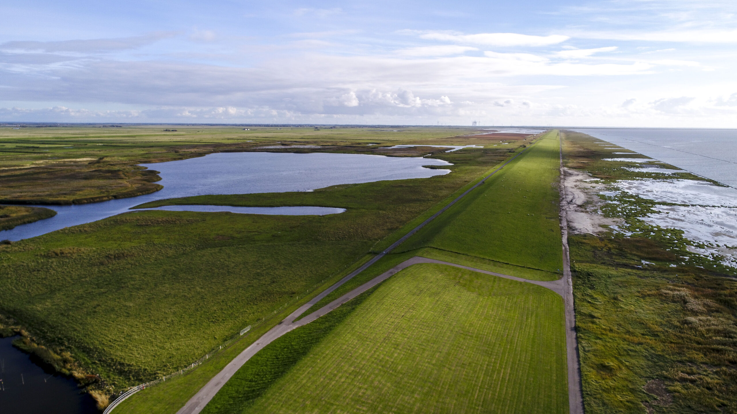 Det fremskudte dige i Tøndermarsken. Foto af Ulrik Pedersen.