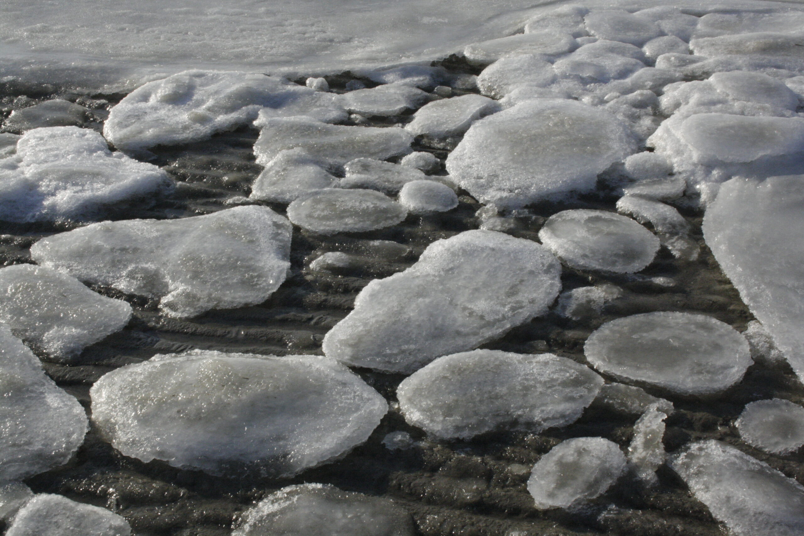 Foto af Elsebeth Helle.