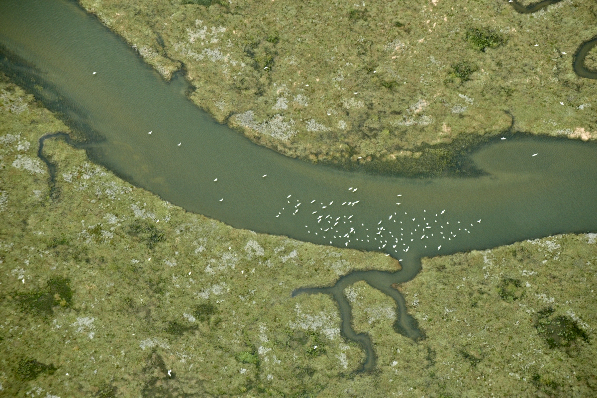 Skallingen. Foto af Lars Gejl.