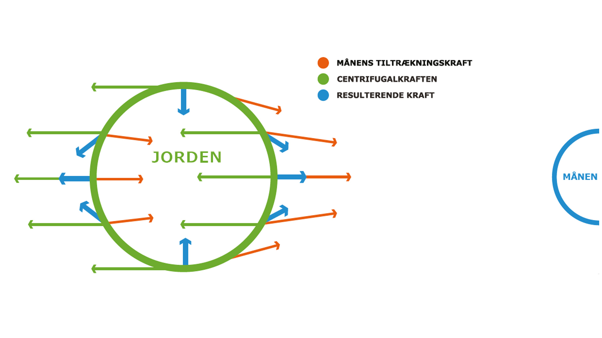 Illustration der viser de astronomiske kræfter, der påvirker Jordens tidevandsbølger. De orange pile viser månens tiltrækningskraft, de grønne pile centrifugalkraften og de blå pile den resulterende kraft.