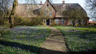 Højergård. Foto af Ulrik Pedersen.