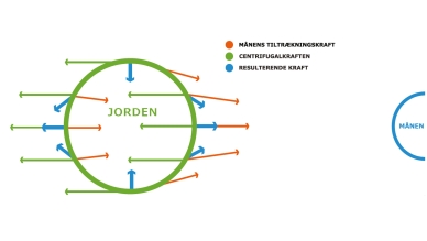 Illustration der viser de astronomiske kræfter, der påvirker Jordens tidevandsbølger. De orange pile viser månens tiltrækningskraft, de grønne pile centrifugalkraften og de blå pile den resulterende kraft.