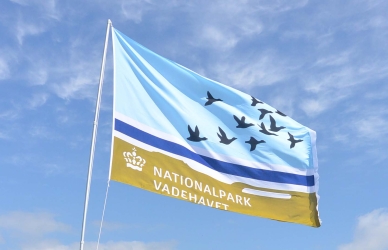 Verdensarv Verdensarv