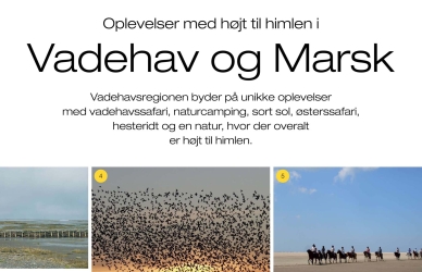 Vadehavet som brand Vadehavet som brand