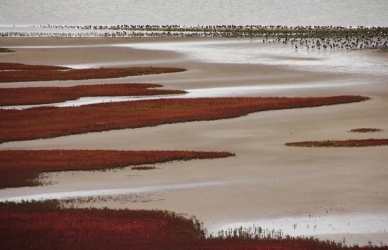 Indlandsisen smelter Indlandsisen smelter