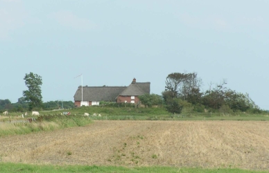 Foto af marskgård Foto af marskgård