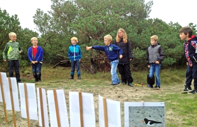 Fødekædekaste leg Fødekædekaste leg