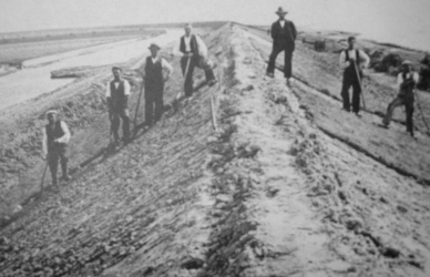 Digebørster på dige Digebørster på dige