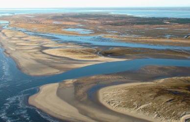 Vadehavs-loop Vadehavs-loop