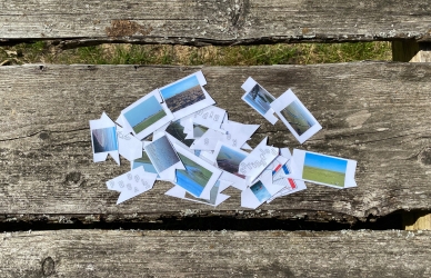 Vadehavsminipuslespil Vadehavsminipuslespil