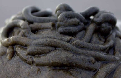 Sandormetue Sandormetue