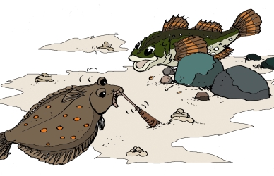 Rødspætte og ulk Rødspætte og ulk