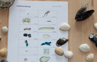 Vadehavsbingo Vadehavsbingo