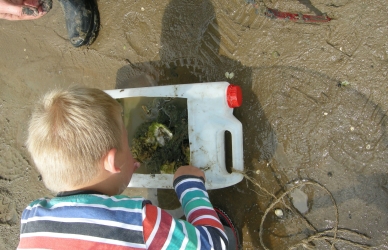 Vadeslæde Vadeslæde