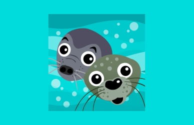 Gryogvitus Gryogvitus