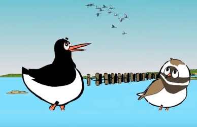 Tidevand og landskab Tidevand og landskab