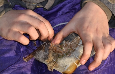 Væve med Vadehavet Væve med Vadehavet