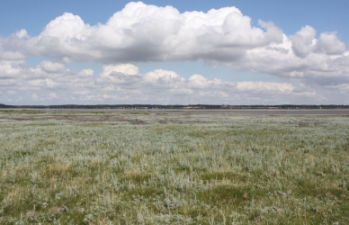 Planterne på din vej Planterne på din vej