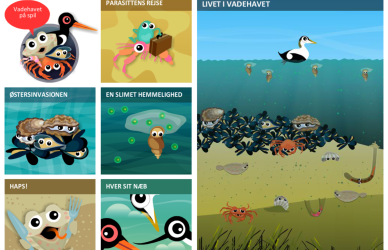 Vadehavet på spil Vadehavet på spil