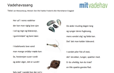 Vadehavssang Vadehavssang