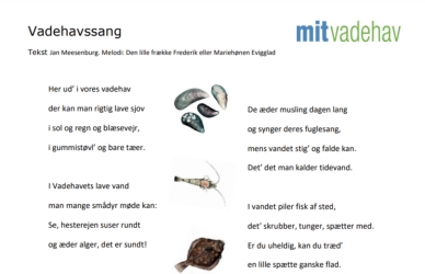 Vadehavssang