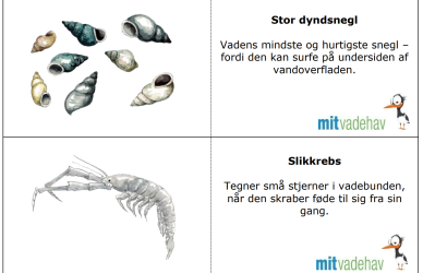 Skærmbillede huskespil med kroppen