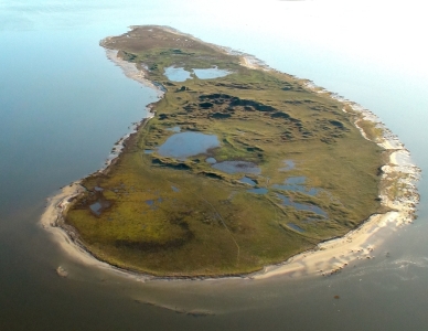 Langli. Foto af Tandrup Naturfilm.